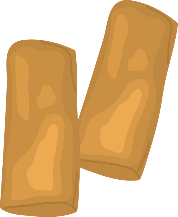 dimsum spring roll