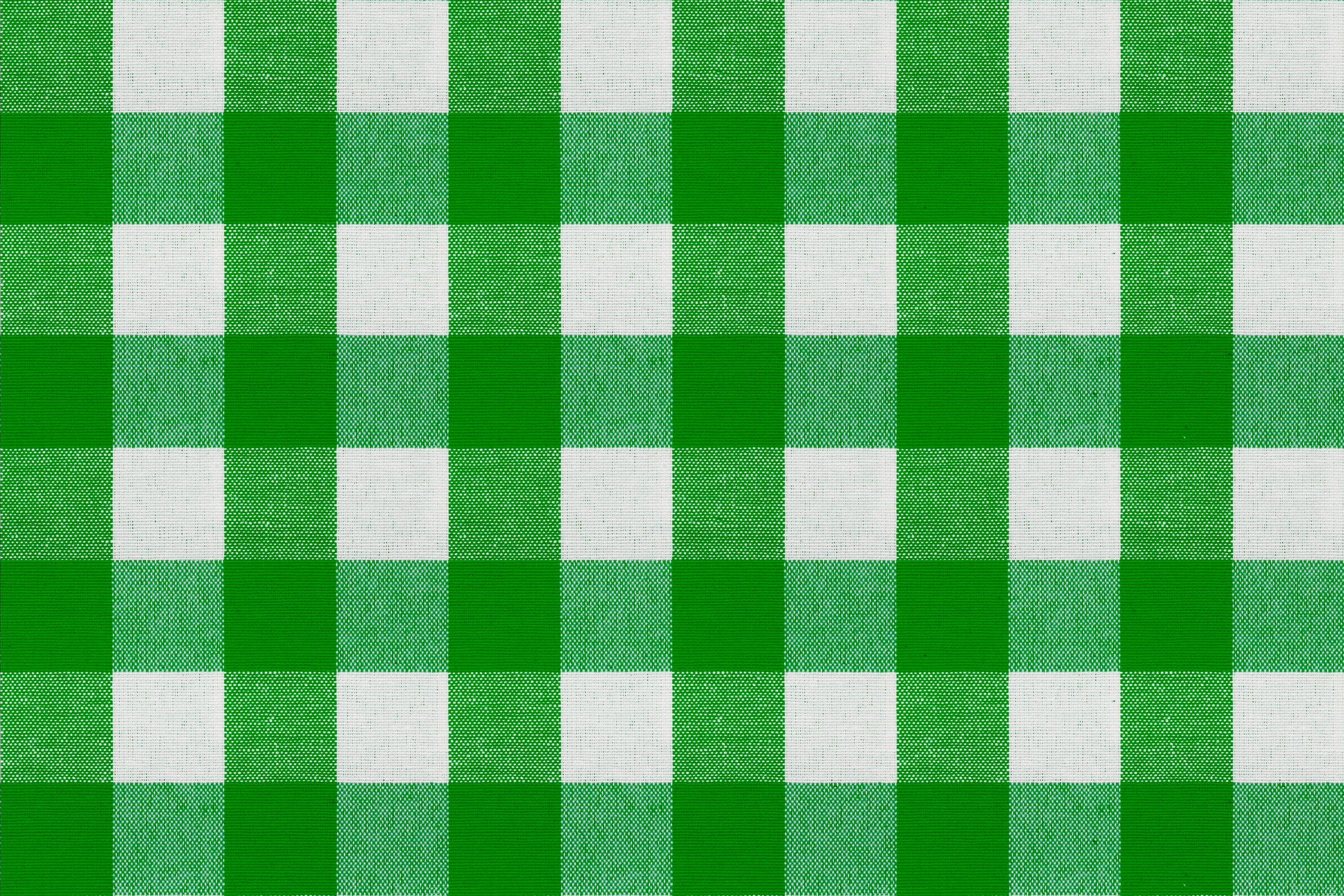 Green Gingham Napkin SEAMLESS